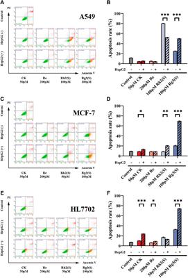 Analysis of metabolites and metabolism-mediated biological activity assessment of ginsenosides on microfluidic co-culture system